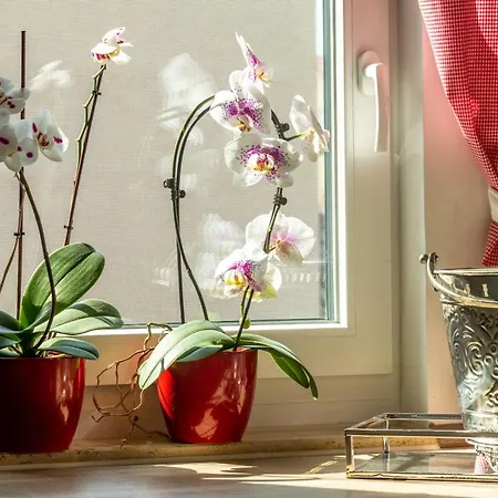 Jenzigblick 公寓 耶拿