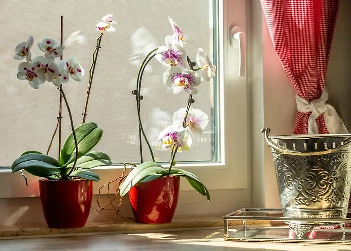 Jenzigblick 公寓 耶拿